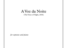 A Voz da Noite (2006)