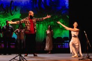 Concerto de gala 