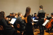 Festival Fiato al Brasile - 2020