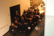 Festival Fiato al Brasile - 2020