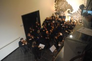 Festival Fiato al Brasile - 2020