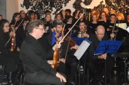 Festival Fiato al Brasile - 2020